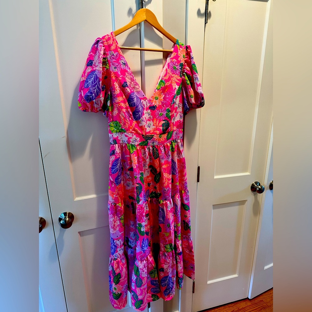 Beautiful NWT lilly pulitzer dress. Pink Isle Best of friends dress.